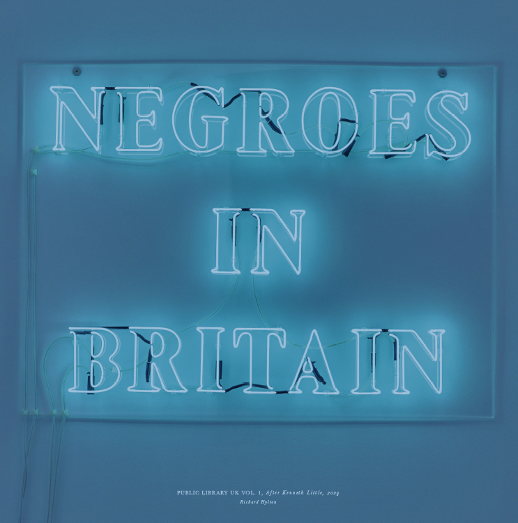 Public Library record sleeve.jpg