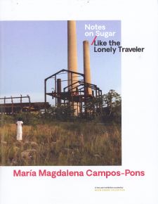 Maria Magdalena Campos Pons